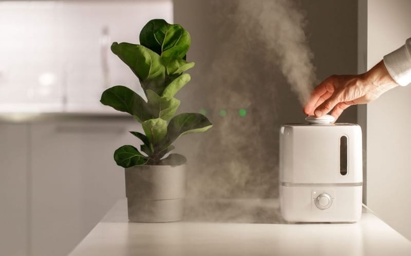Humidifier Leaving White Residue on Plants