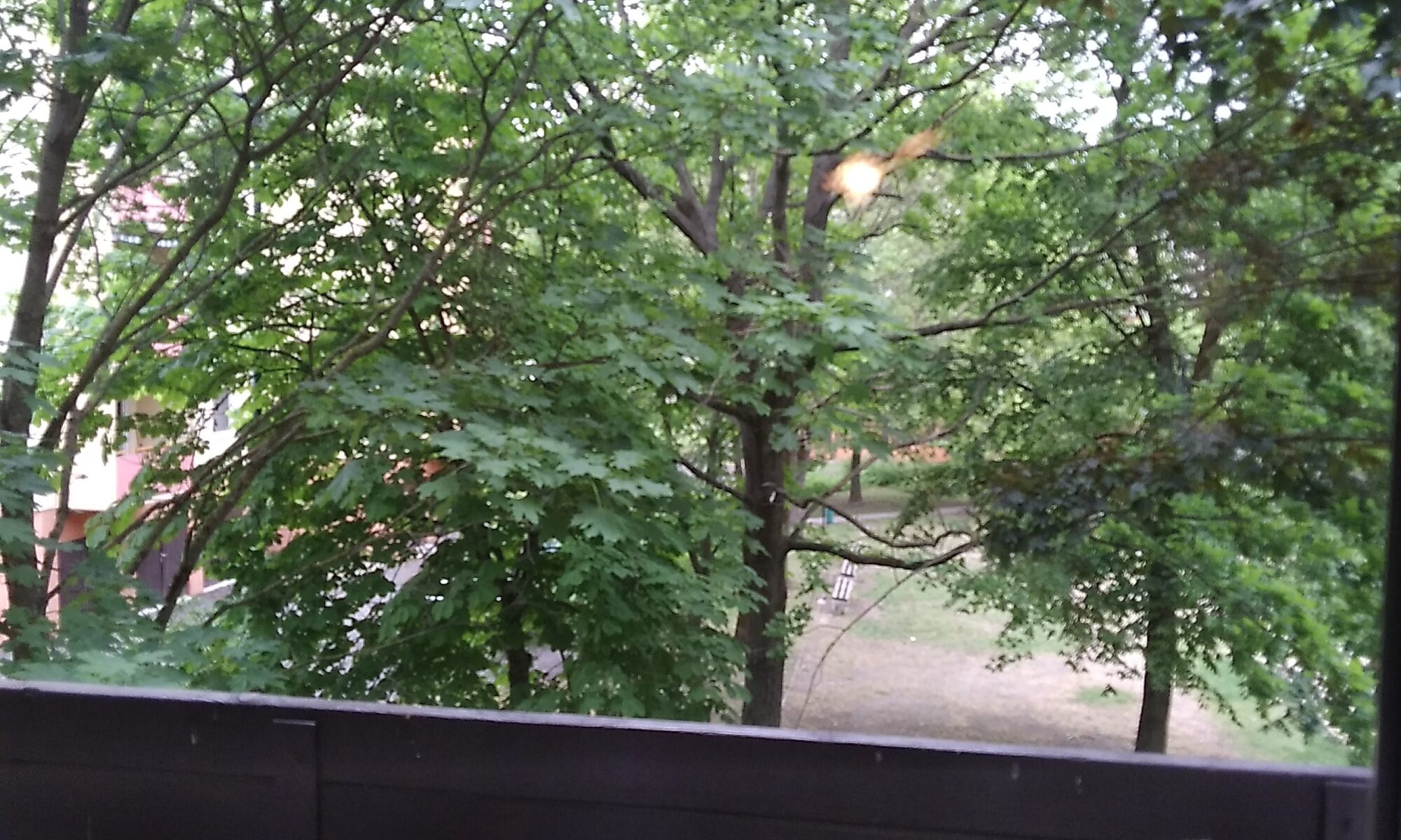 IMG 20260512 155934