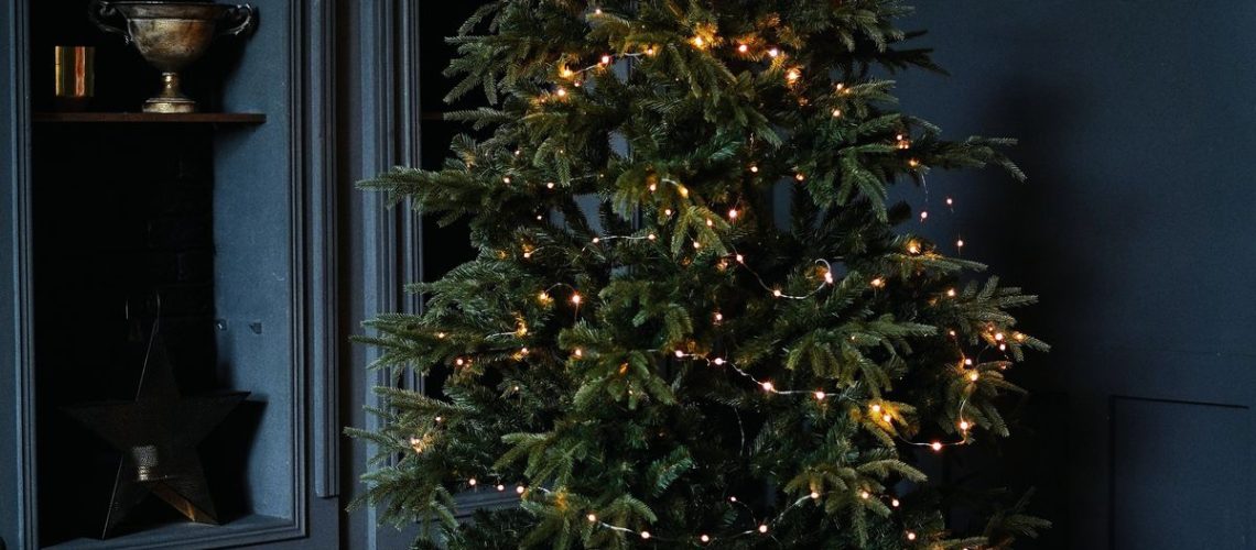 christmas tree_eredmény_vagas